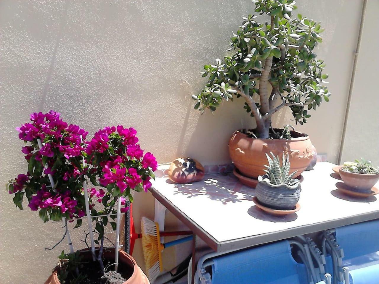 Park House -Beside The Medieval Town Of Rhodes Rhodes City Bagian luar foto